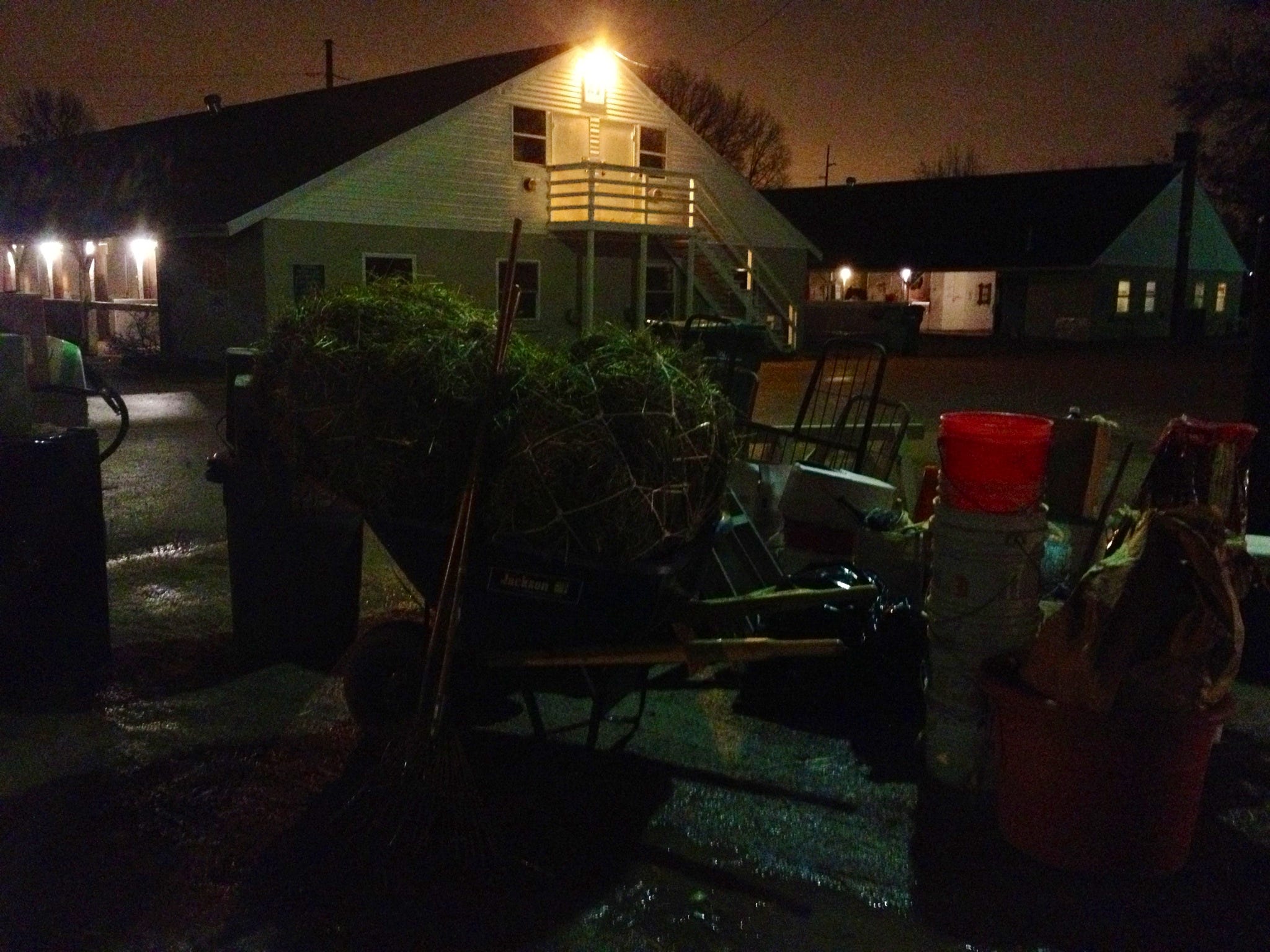 vans churchill trainers